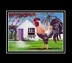 Key West Rooster